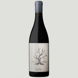 Villiera Stand Alone Pinot Noir 2018