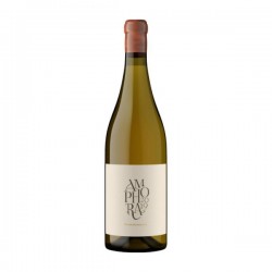 Gabriëlskloof Amphora Sauvignon Blanc 2020