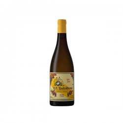 A.A. Badenhorst Kelder Steen Chenin Blanc 2020
